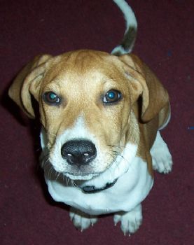 zeureeka profile photo