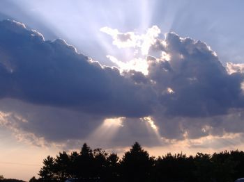 burniromo profile photo