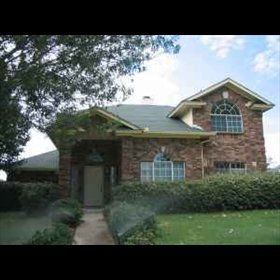 goldiiie profile photo