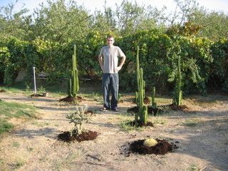 kuaija profile photo