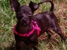 andamay profile photo