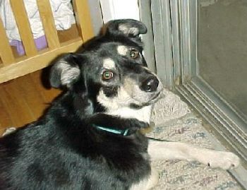 rsromine profile photo