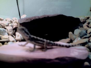 ghost83 profile photo