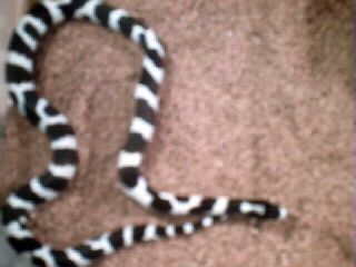 ghost83 profile photo