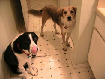 cressida profile photo