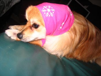 Paradise384 profile photo