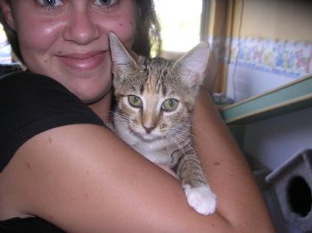 SarahandMatt profile photo