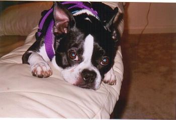 meghan.link profile photo