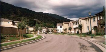 lnel34 profile photo