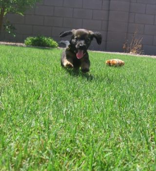 jscott profile photo