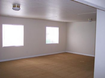 shelbz profile photo