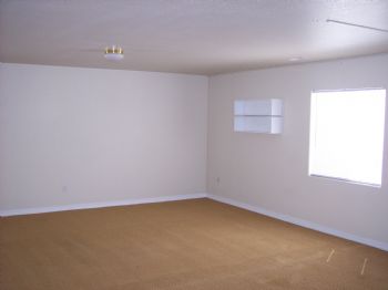 shelbz profile photo