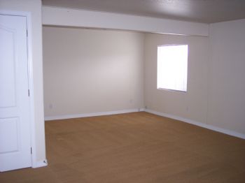 shelbz profile photo