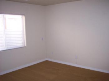 shelbz profile photo