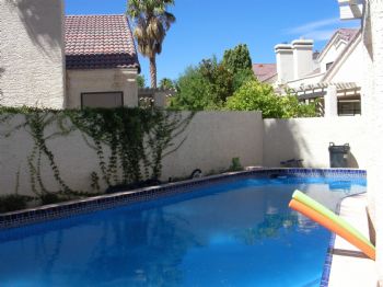 ammrose profile photo