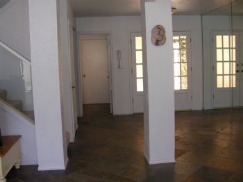 ammrose profile photo