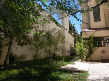 ammrose profile photo