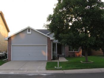 shushikiary profile photo