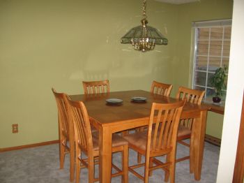 shushikiary profile photo