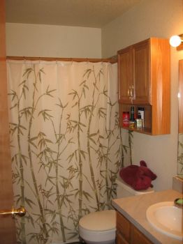 shushikiary profile photo