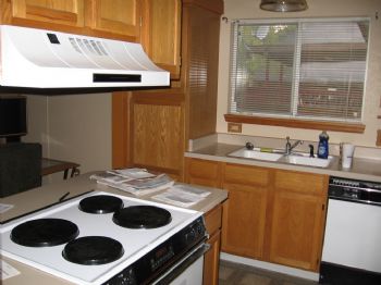 shushikiary profile photo