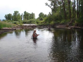 lundstedt profile photo