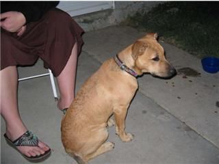 nattie83 profile photo