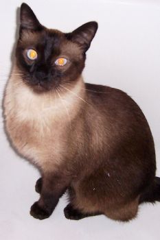 talinagrace profile photo