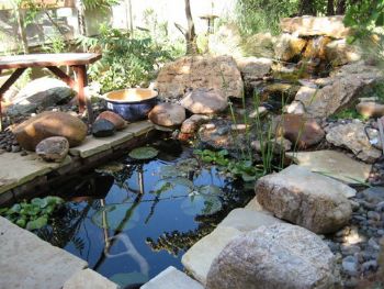 holyfool profile photo