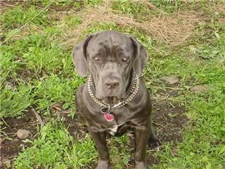 Tiger55 profile photo