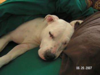 reece21 profile photo