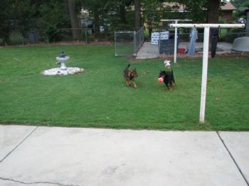 KENNETH4813 profile photo