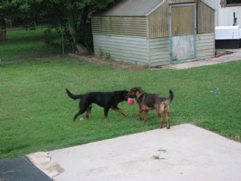 KENNETH4813 profile photo