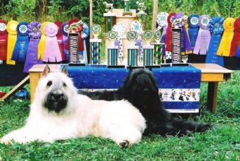 sokoura profile photo