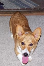 ARMYreject profile photo