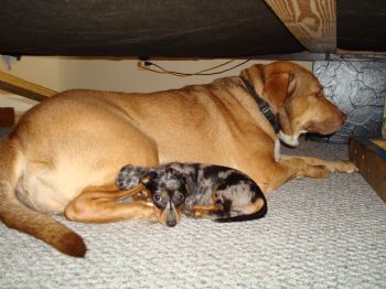 dcarter0815 profile photo