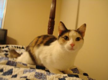 dcarter0815 profile photo