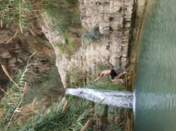 Baskethead profile photo