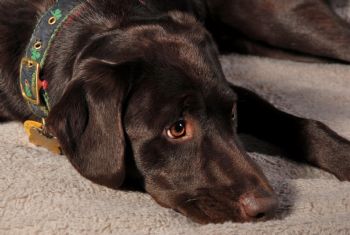 ephoto profile photo