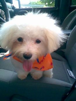 Mandi_L profile photo