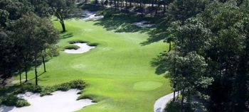 dtilton profile photo