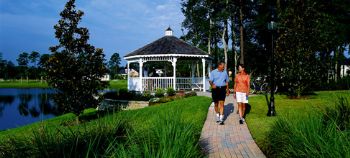 dtilton profile photo