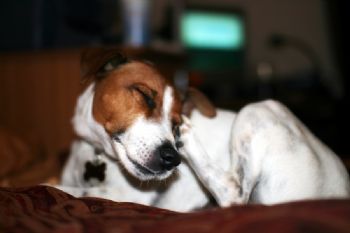 Meagankelly profile photo