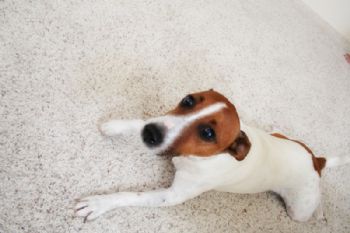 Meagankelly profile photo