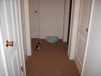 mouse5 profile photo