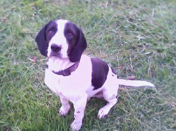 judsongal7 profile photo