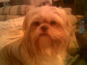 bamachicks profile photo