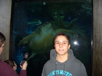 tiagovc profile photo
