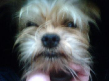 TheSam profile photo