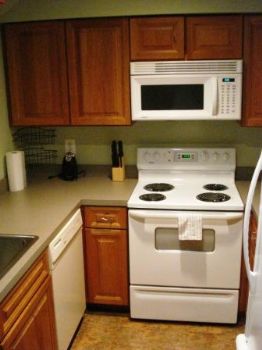 tdoggl profile photo